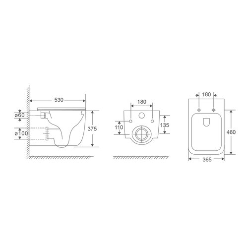 MIXXUS PREMIUM DIVERSE-0101-T1 Унітаз підвісний 530x365x373mm, система змиву TORNADO 1.0 (1 шт/ящ)