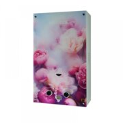 MIXXUS GWH-0410 BASIC GLASS Газова колонка димохідна 10 л/хв (панель зі скла з малюнком) (1 шт/ящ)